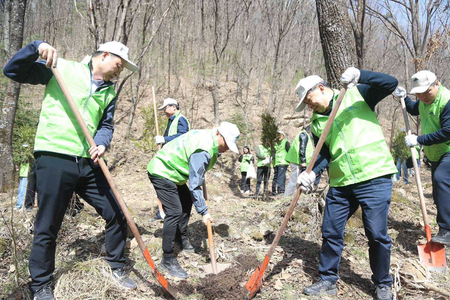 1742545183220580.jpg WechatIMG378.jpg