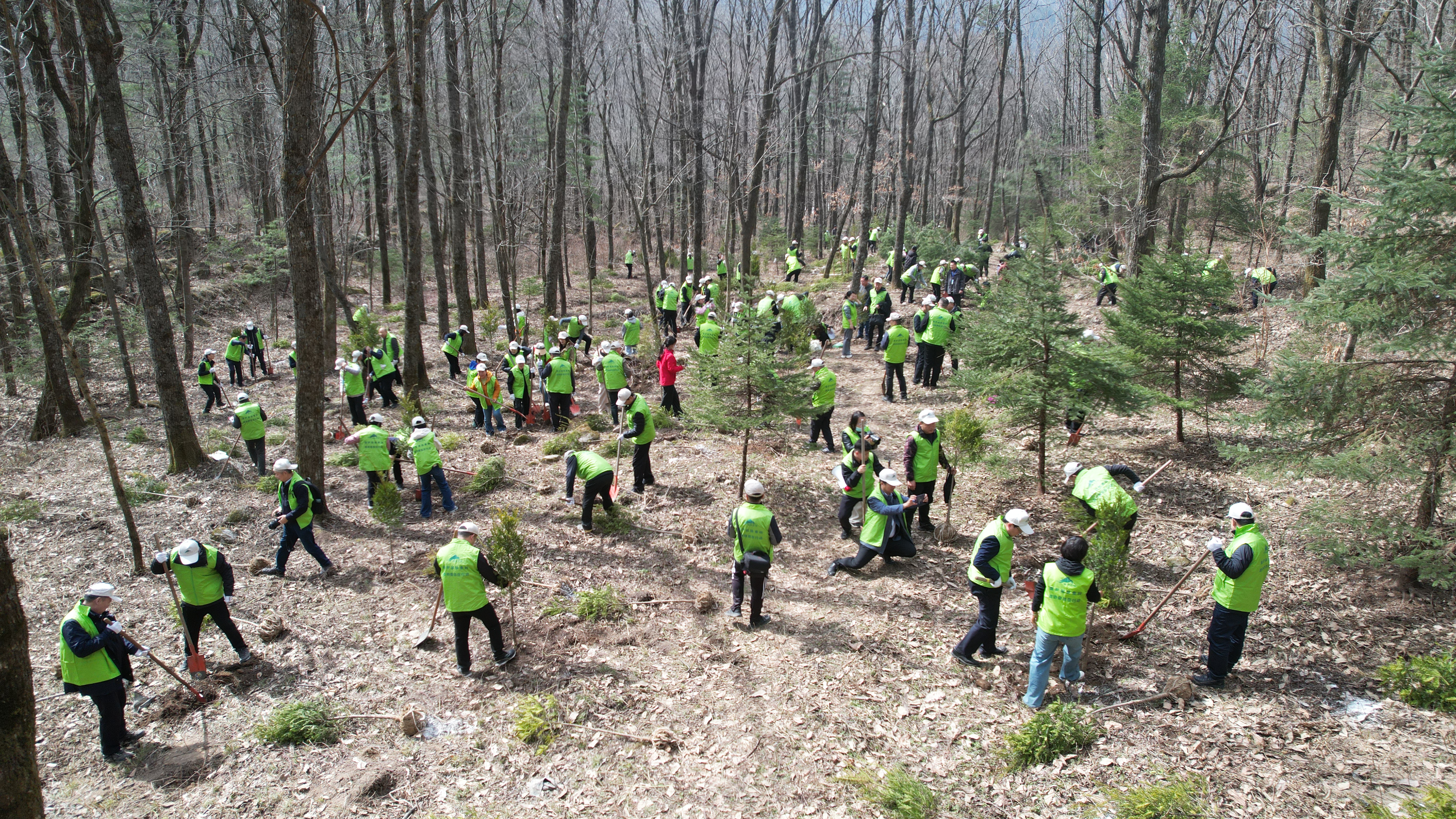 1742545195919503.jpg WechatIMG379.jpg